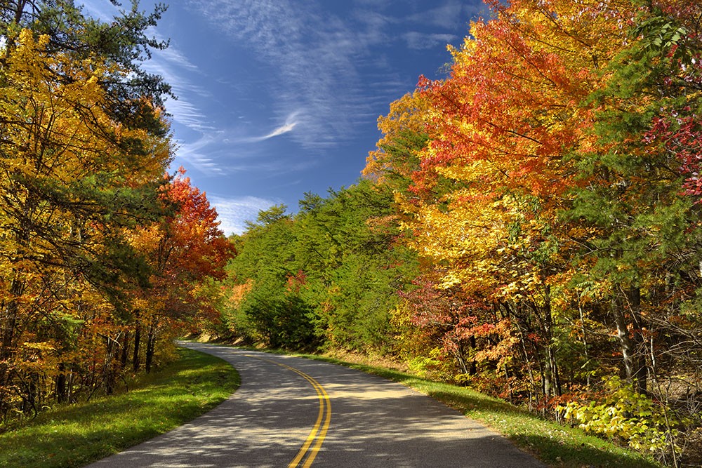 Beautiful fall colors. Photo 38498111 © Darrell Young | Dreamstime.com